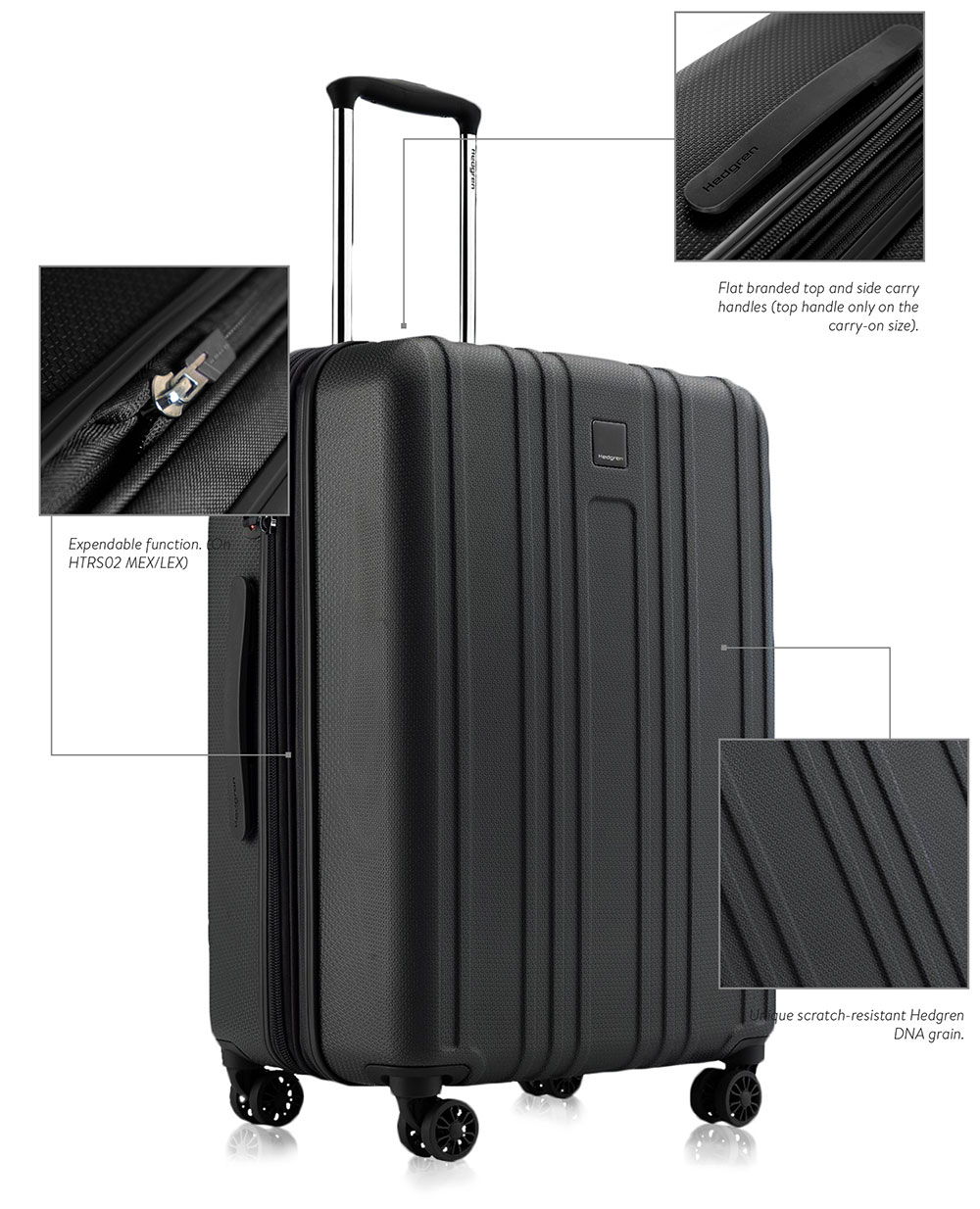 Hedrgen-Transit-Promo-2