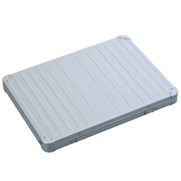ALEON Laptop Case 42 cm Platinum