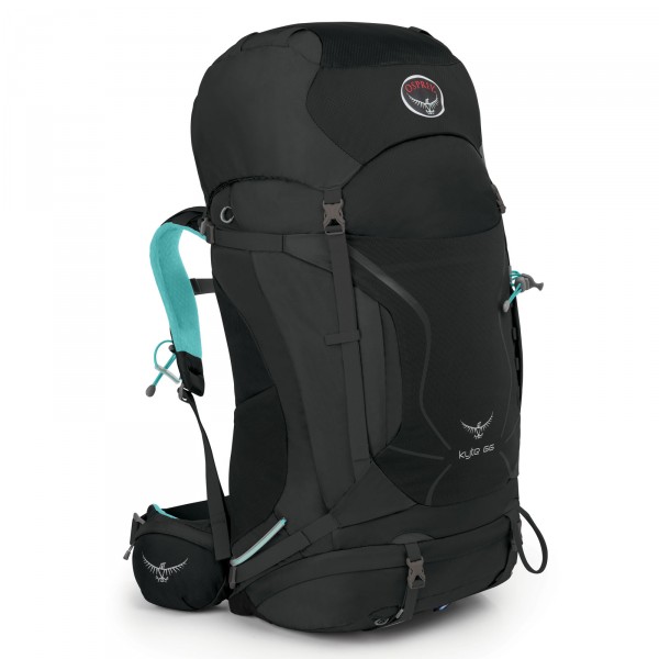 Osprey Kyte 66 Wander-Rucksack 76 cm Grey Orchid - Frontansicht